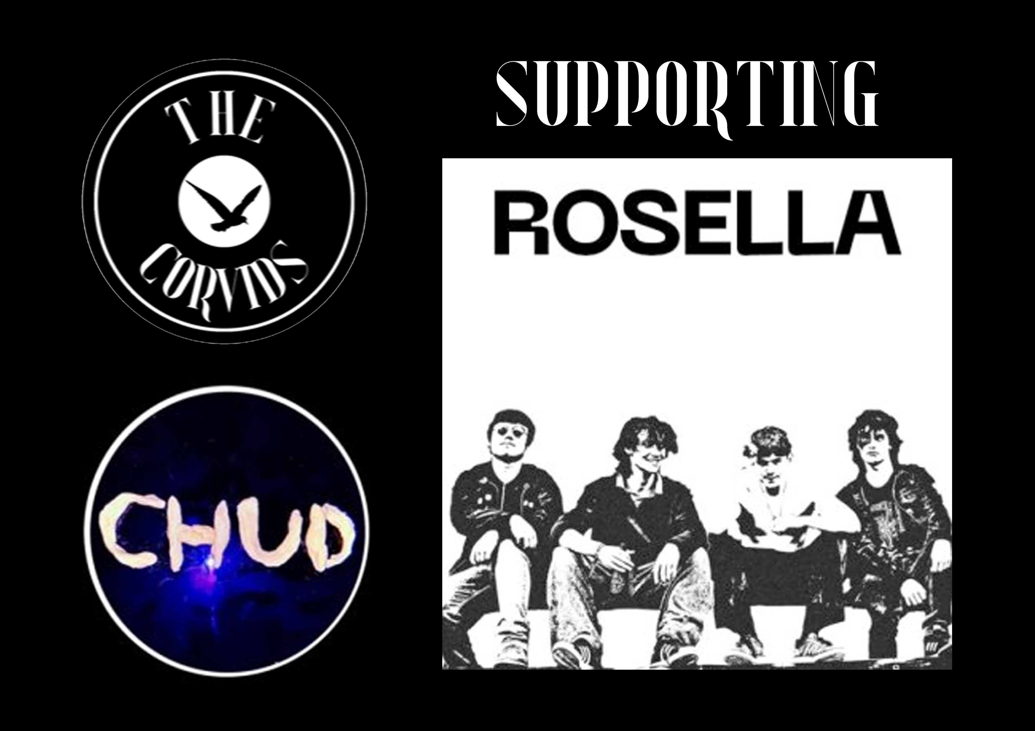 Corvids Chud Supporting Rosella